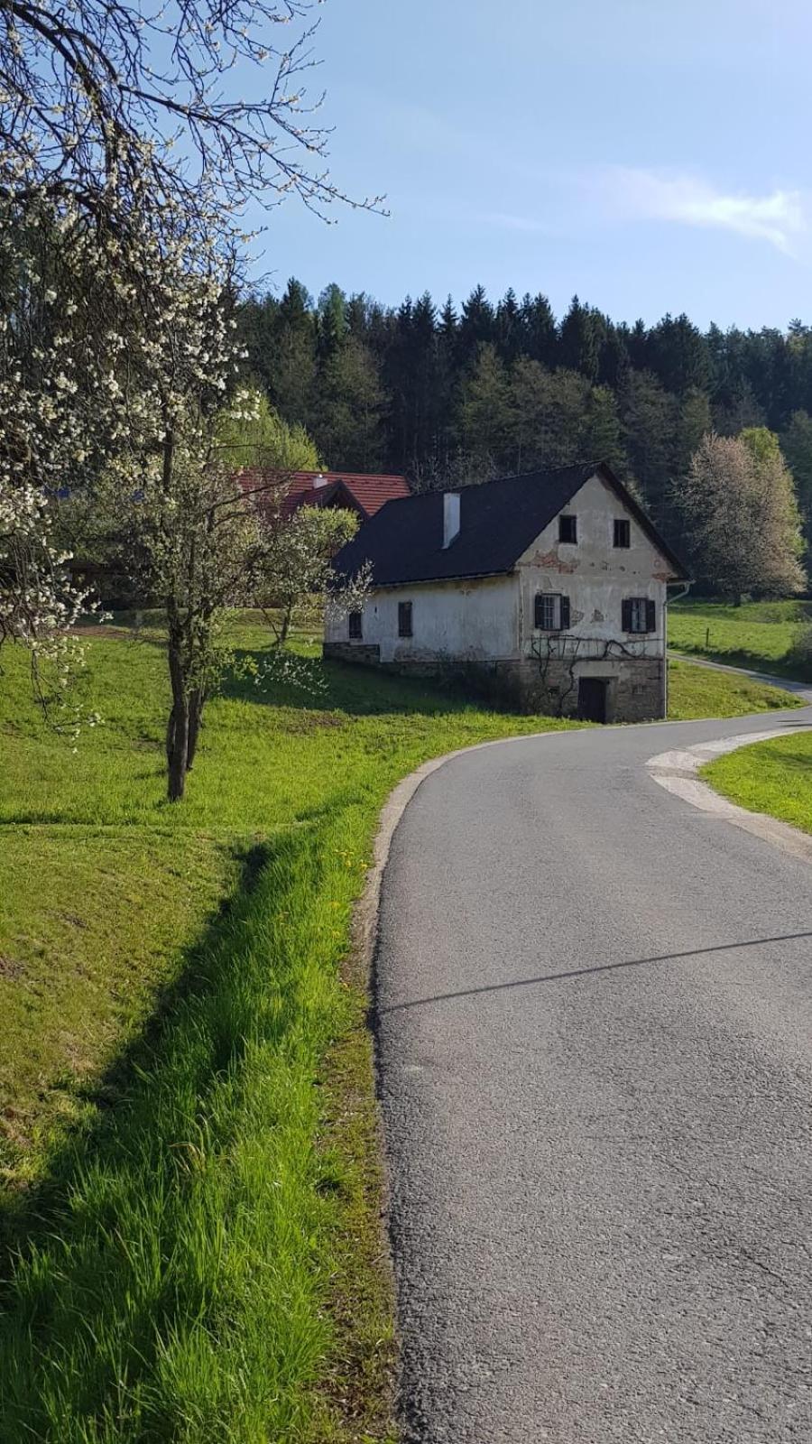 Villa Presshaus Alte Mühle Stainz Exterior foto